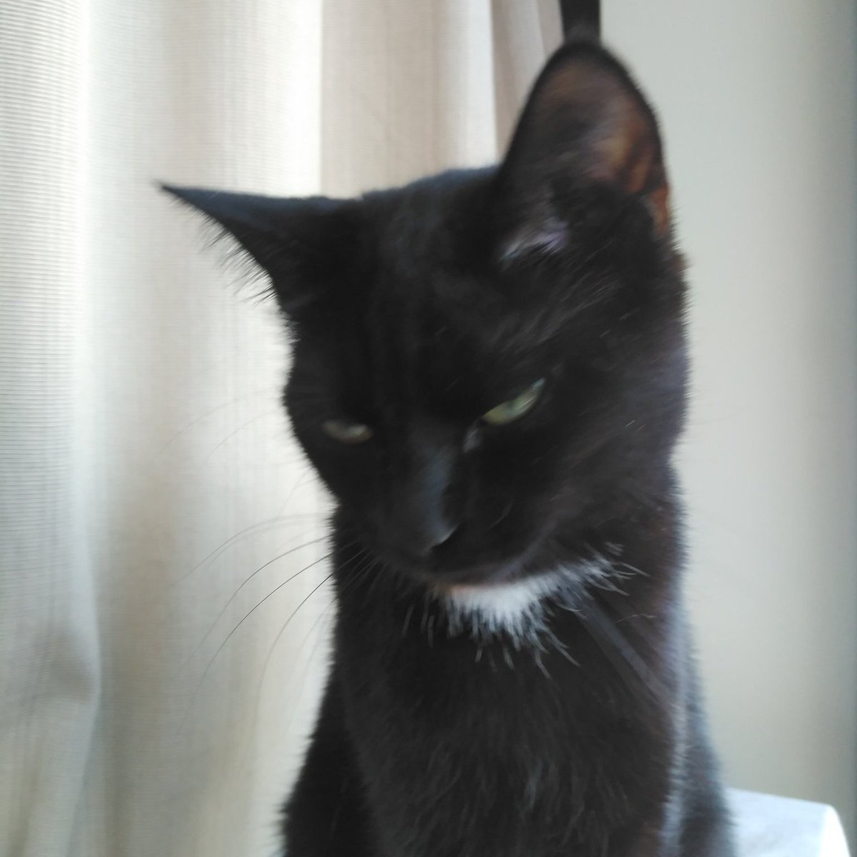 Arch_Novarias's tweet image. Day 617-618 Already did some prep work for tomorrows map, the throne room! See you then.