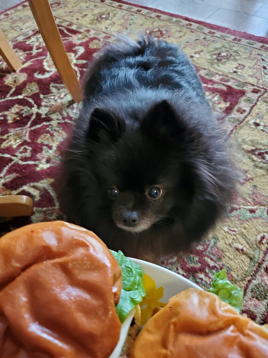 grapejuiiice's tweet photo. she interest in the borglar https://t.co/kfn7lQj67y