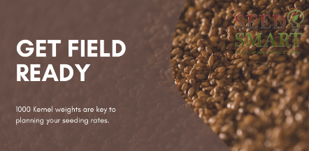 BeSeedSmart's tweet photo. Get field ready: 1000 Kernel weights are key to planning your seeding rates. #abseedprocessors #plant24 #farming #abfarming #WestCdnAg https://t.co/vjGbWQNpMP