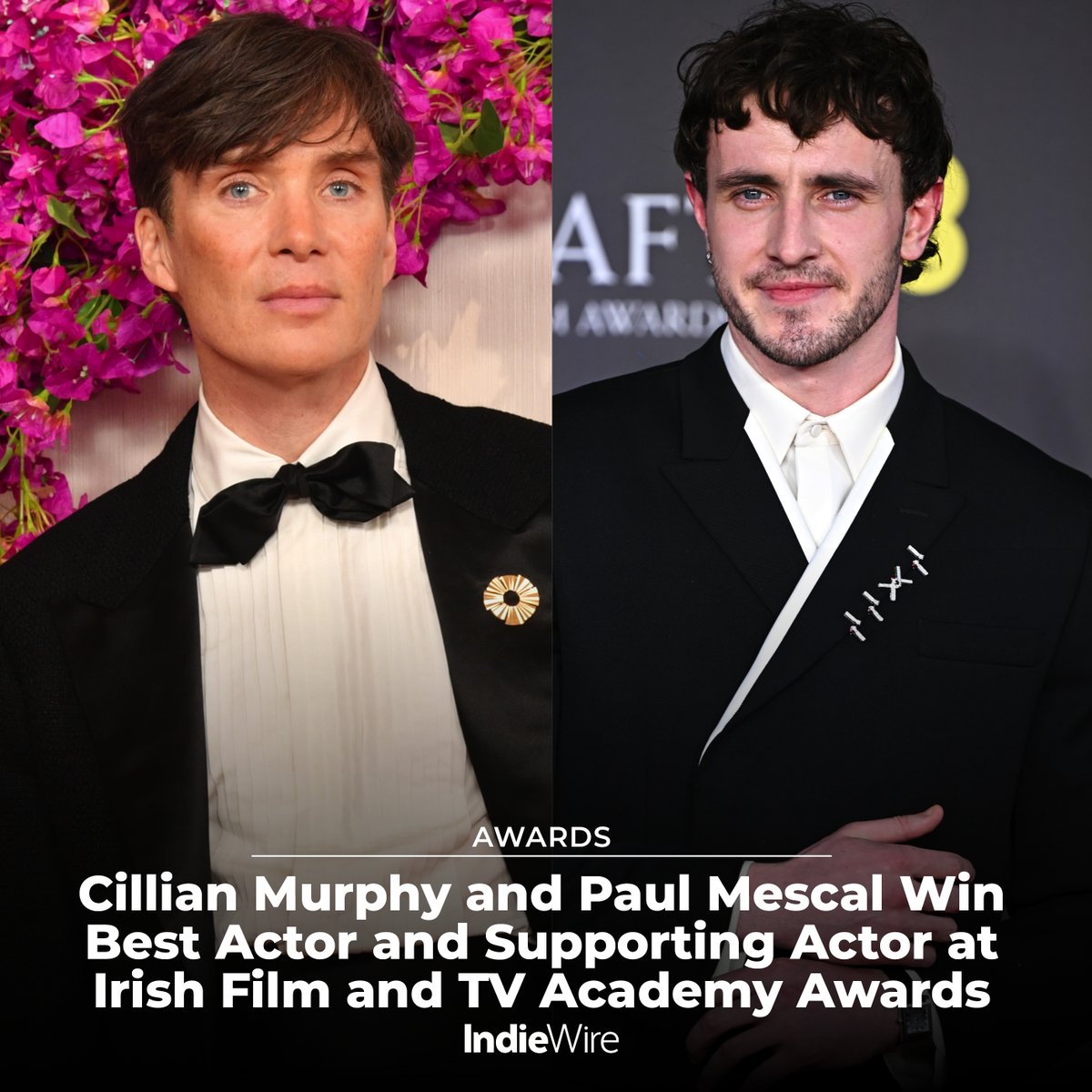 Cillian Murphy completed the award season that saw him win his first Oscar by accepting an award in his native Ireland. Read the complete winners list for the Irish Film and TV Academy Awards: trib.al/3NGJ6hn