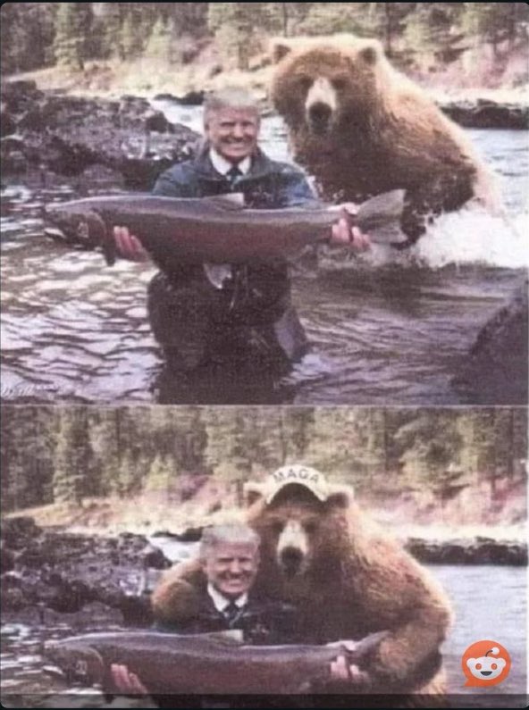 Even bears love Trump.😝 🇺🇸🇺🇸🇺🇸🇺🇸🇺🇸🇺🇸🇺🇸🇺🇸🇺🇸🇺🇸🇺🇸🇺🇸🇺🇸