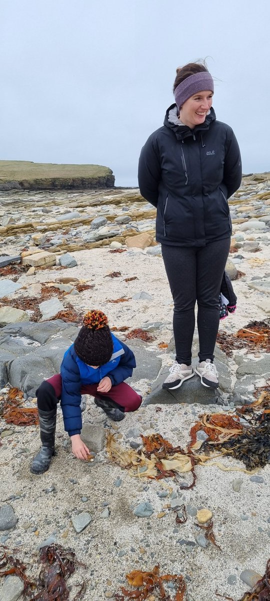 FRuss247's tweet photo. Lovely day out with my sister, niece, and nephew. Collecting seaweed for our gardens. All went well until I realised the dogs had been ingesting it outside when I got home. Realised when they had seaweed "wind". Seaweed washed and quarantined. #Orkney #Skail #BroughofBirsay https://t.co/rwGyfse1L5