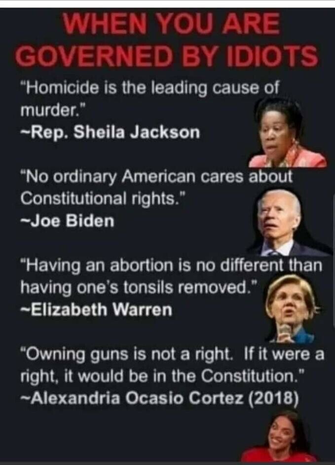 Brought to you by the same people (D) that gave US Rep. Hank Johnson that thought, and I quote 'My fear is that the whole Island (Guam) will become so overly populated that it will tip over and capsize'!