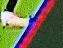 Adam Price tweet media