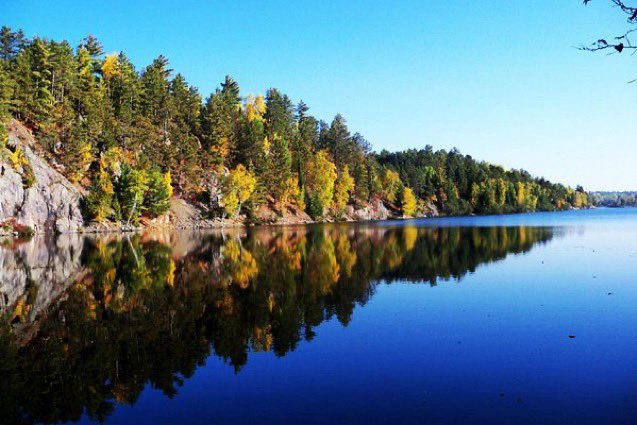 Jayson Tyler Gill tweet media