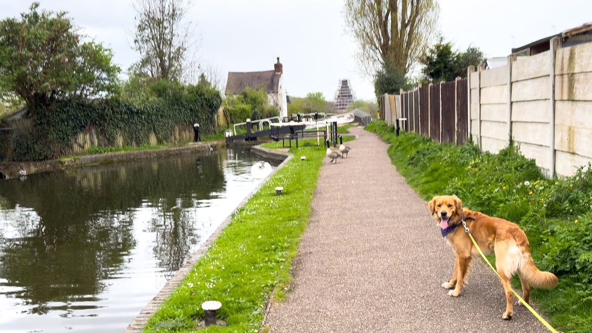 Finlay #RedMoonshine has reached 94km of his 100km walk & £126 of his £150 target. His should reach his 100km target in the next couple of days. #StourbridgeCanal #StourbridgeLocks #BoatsThatTweet #KeepCanalsAlive #LifesBetterByWater #FundBritainsWaterways #PoppyAppeal #GlassCone