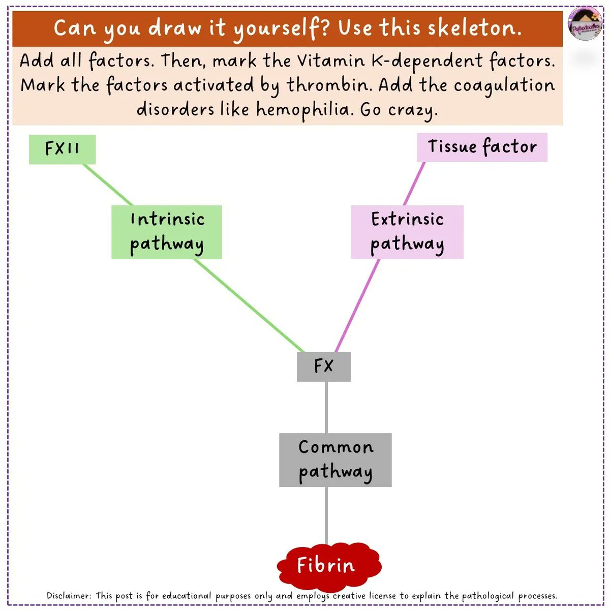 Try the self directed exercise at the end to see if this #Pathodoodles #HemePath post helped 2/2  #PathTwitter #MedTwitter #MedStudentTwitter