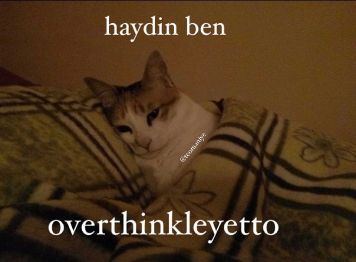 NsfmsN1 (@nfsmsn1) on Twitter photo 