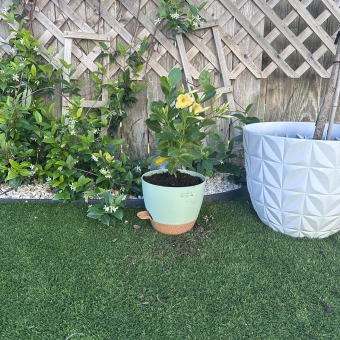 Planting some seasonal flowers and enjoying the pool today 😊 https://t.co/qqLQTh5Flq<a href="/tag/mondaymotivation"class="tags"><span>#mondaymotivation</span></a>