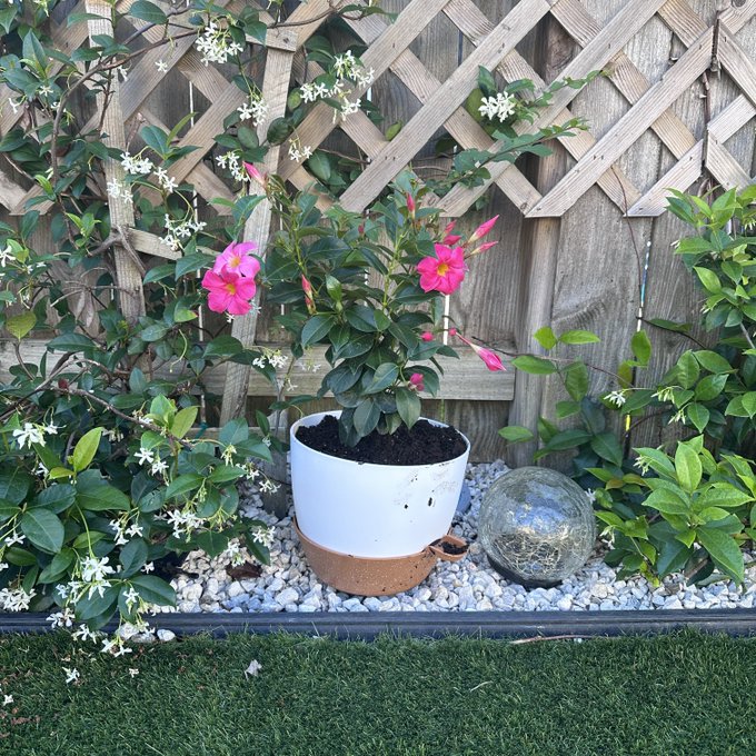 Planting some seasonal flowers and enjoying the pool today 😊 https://t.co/qqLQTh5Flq<a href="/tag/mondaymotivation"class="tags"><span>#mondaymotivation</span></a>