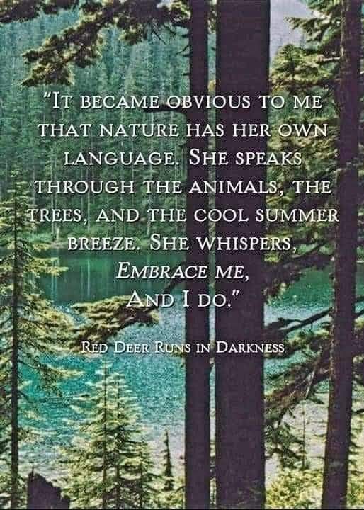#itsobvious #nature #language #animals #trees #summerbreeze #whispers #embraceme #ido
