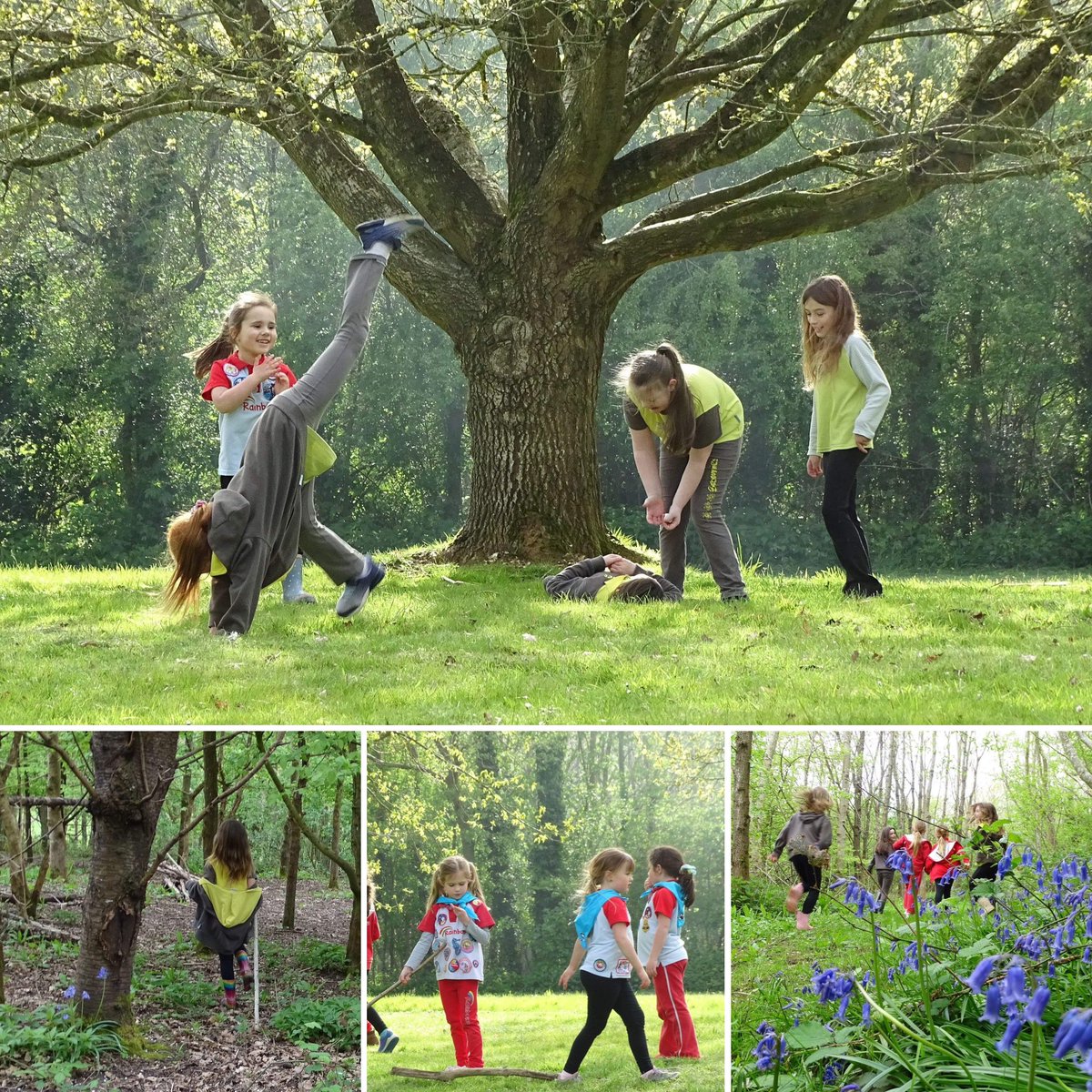 Inspired by 🌍 Earth Day. Spreading our wings, outside in nature. 🌱

#BeingOystercatchers #EarthDay
#Girlguiding