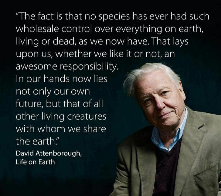 My Hero.... #sirdavidattenborough #saveouroceans #saveourplanet #biodiversity #saveourwildlife