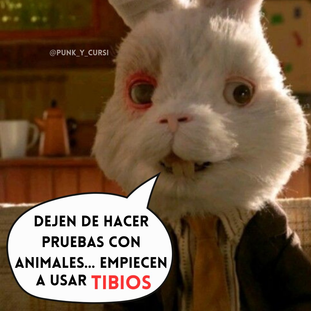 punk_y_cursi's tweet photo. 🐰🐰🐰 https://t.co/y4hAN9BHhq