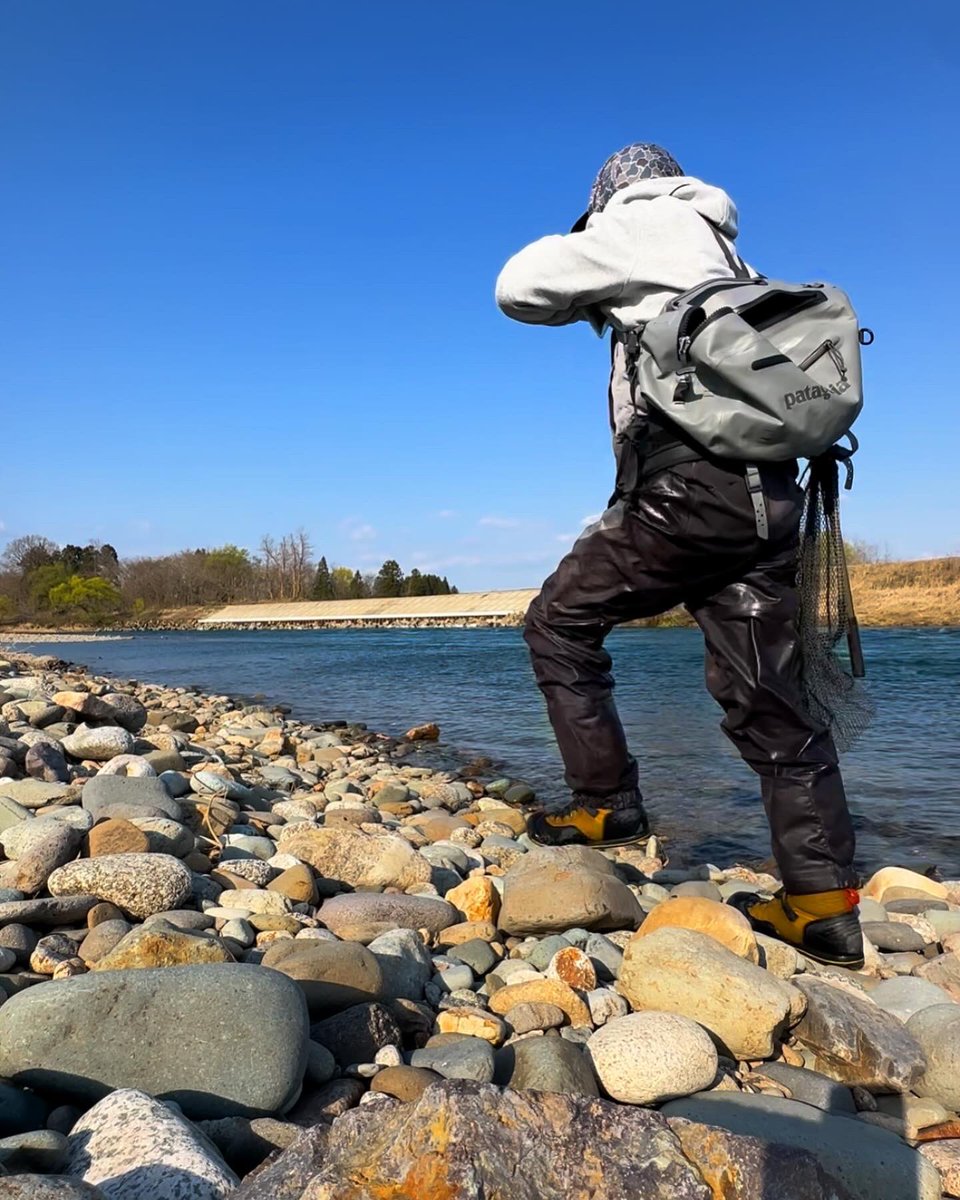 yamadazinen's tweet photo. サクラマスふりかえり🎣
なかなか釣れないが、釣れなくてもスカジットキャストでヘッドをブッ飛ばすだけで楽しいのがこの釣りの魅力♪
無の境地で無限キャスト&スイングし続けられます🙏
#ヤマメ #イワナ #ニジマス #サクラマス #shimano #フライ #釣り #渓流 #山田自然 #flyfisher #nature #zinen https://t.co/ft6N4xWyll
