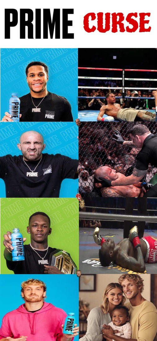 Dillon Danis tweet media