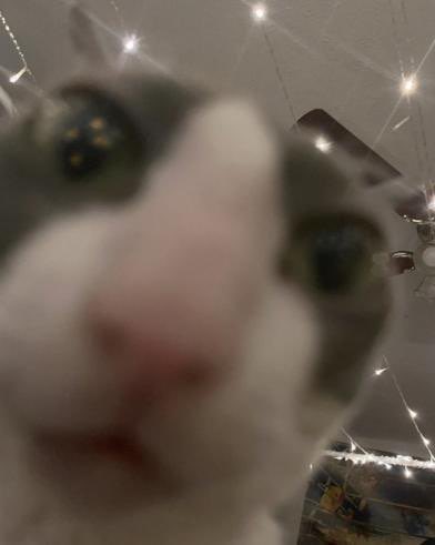 Ty ッ (@tyfiell1) on Twitter photo 