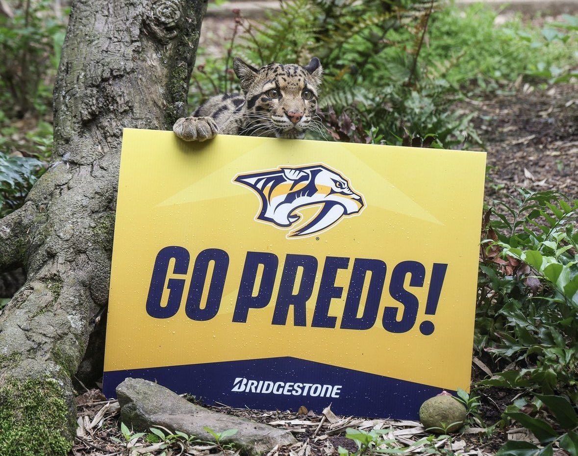 PredsNHL tweet picture