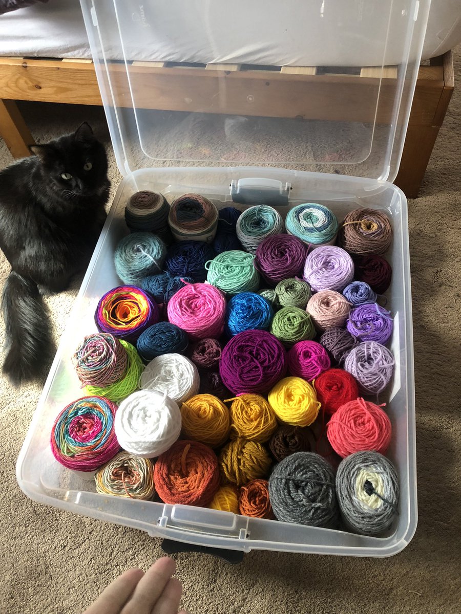 the antidepressants are so good that they allowed me to organize my yarn