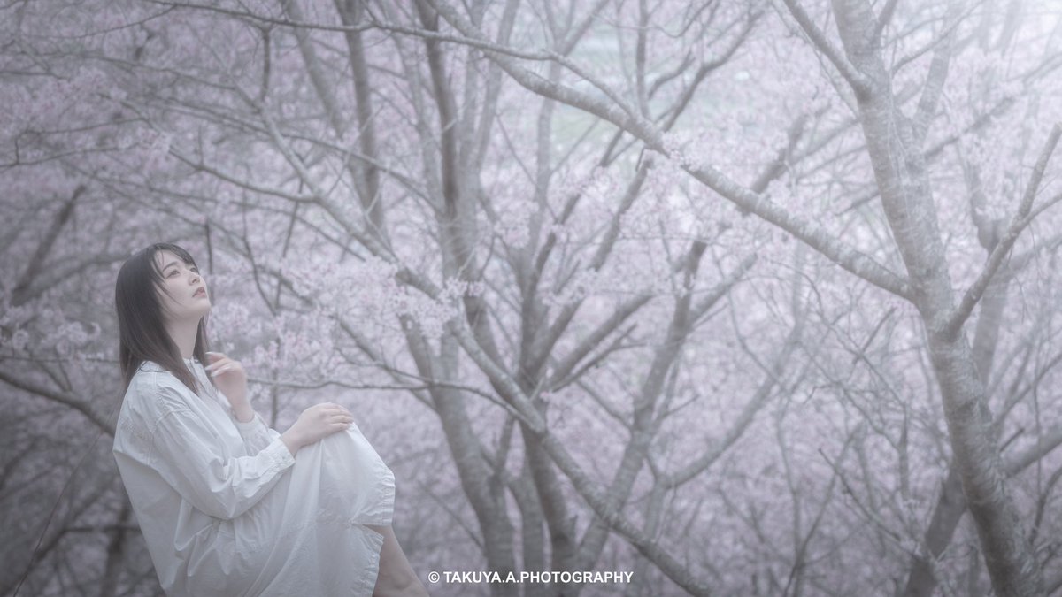 . . Location:秘密 Model:愛花さん@loveflower_0216 . . 先々週の桜ポトレ。うみさん撮影させて頂いた場所と同じとこなんですけどほんと良いとこ。 . 今回も桜の花言葉の「精神美・純潔」を愛花さんに表現して頂きました♪ . 曇りで光が柔らかかったので今回はだいぶメルヘン寄りに撮影しました。 .…