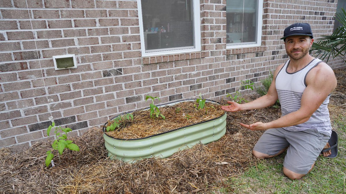 Have you ever considered growing vegetables against your house foundation? I’m fitting a #garden anywhere I can 😎 

#gardening #gardeninglife #gardeninglove #raisedbeds #raisedbedgarden #vegetablegarden #vegetablegardening #ediblelandscaping #growyourown #growyourownfood