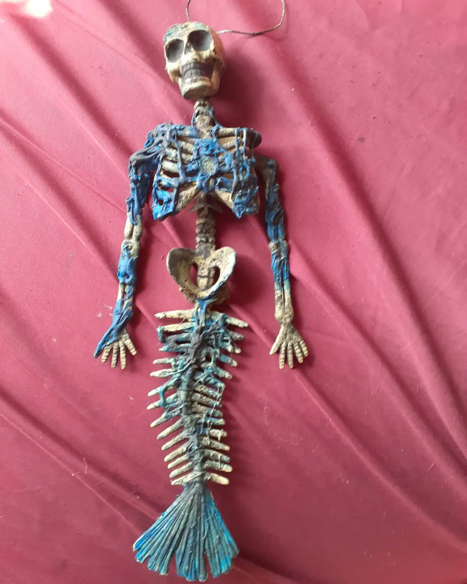 1234Theriddler's tweet photo. Another weird thing I made to hang in my room. I didnt have enough hot glue to make it look like I was decomposing 

#art #painting #custom #acrylicpaint #mermaid #dead #skeleton #customized #idk https://t.co/gCdyQ4eAWF