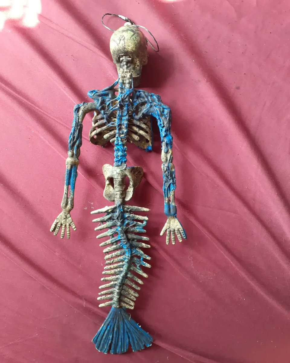 1234Theriddler's tweet photo. Another weird thing I made to hang in my room. I didnt have enough hot glue to make it look like I was decomposing 

#art #painting #custom #acrylicpaint #mermaid #dead #skeleton #customized #idk https://t.co/gCdyQ4eAWF