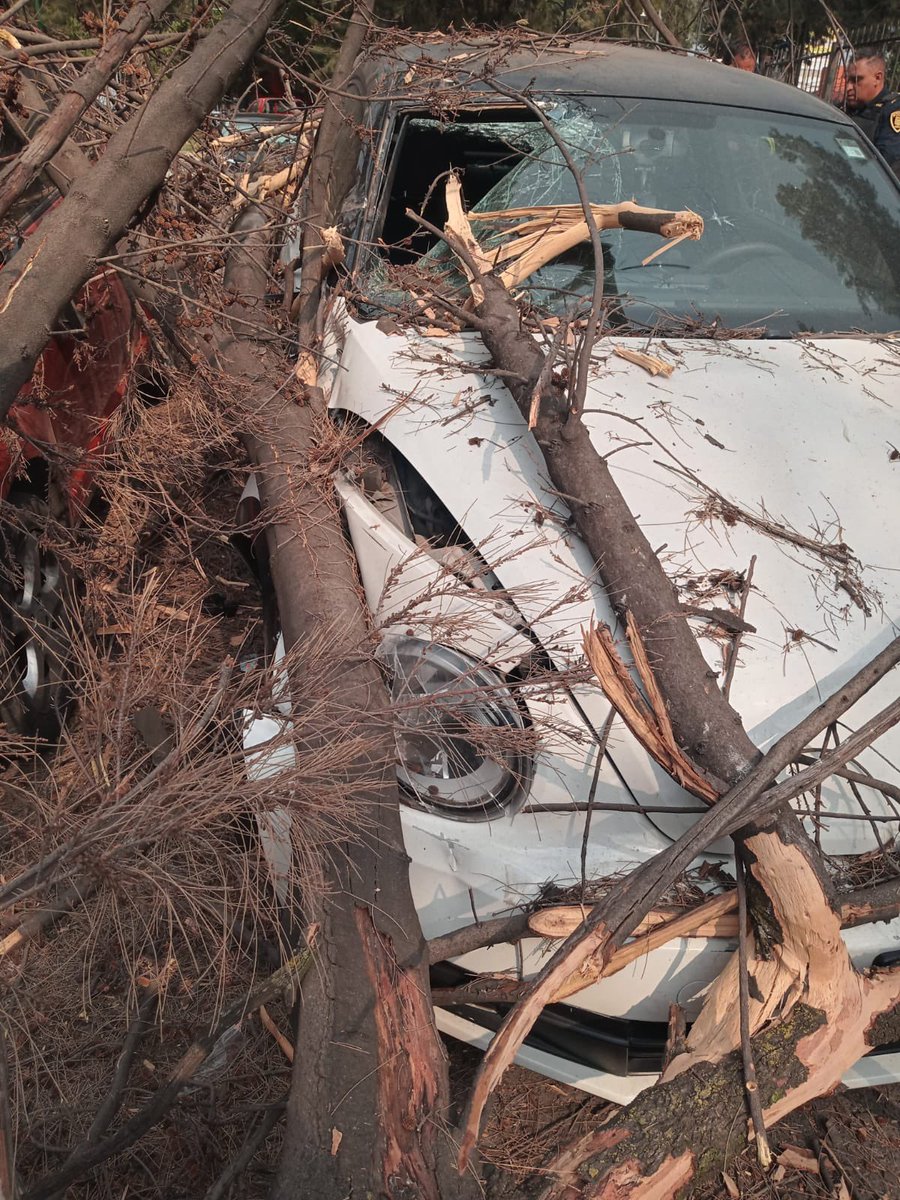 omarhdzmx's tweet photo. Mi coche fue destruído por un árbol que fue denunciado varias veces por los vecinos por riesgo a caerse y la delegación no hizo caso. Ayúdenme a difundir para que paguen los daños. @GOBIERNODELACI2 @Alc_Iztapalapa @Claudiashein @GobCDMX https://t.co/Ytyz1FDfOs