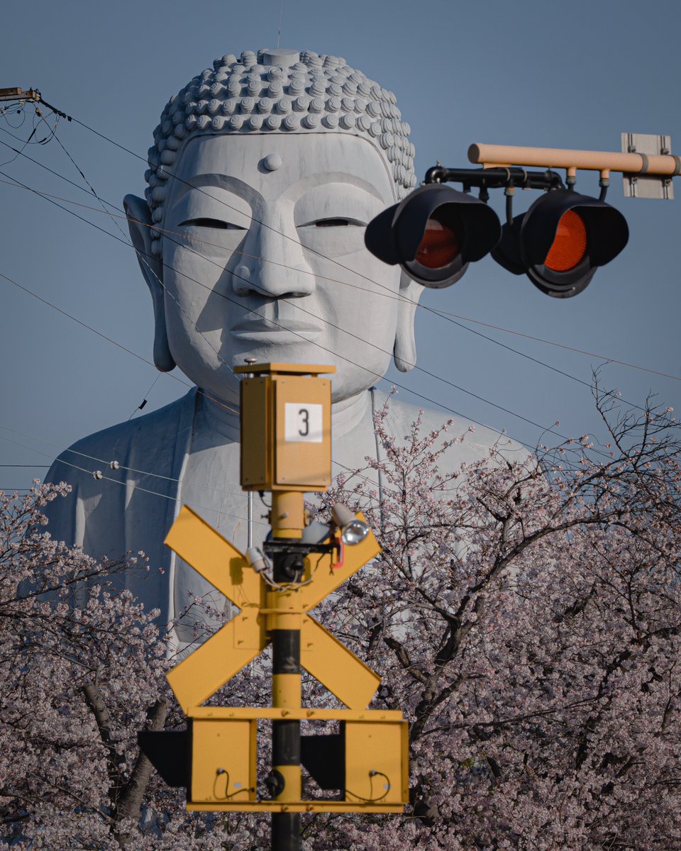 満開の桜を盾に遠隔スコープを覗いてロケットランチャーを1発ぶっ放したあとスコープを外してターゲットに被弾した様子にﾌｯとほくそ笑んでそうな愛知の大仏。