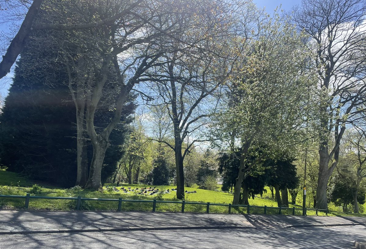 Just an ordinary Sunday morning down my local park… (zoom in if needed) I love Cotteridge Park! The importance of local green space for activity and connection cannot be overemphasised @BOSFonline @NaturallyBirmi1 @CityPark4Brum @Roam_kids
