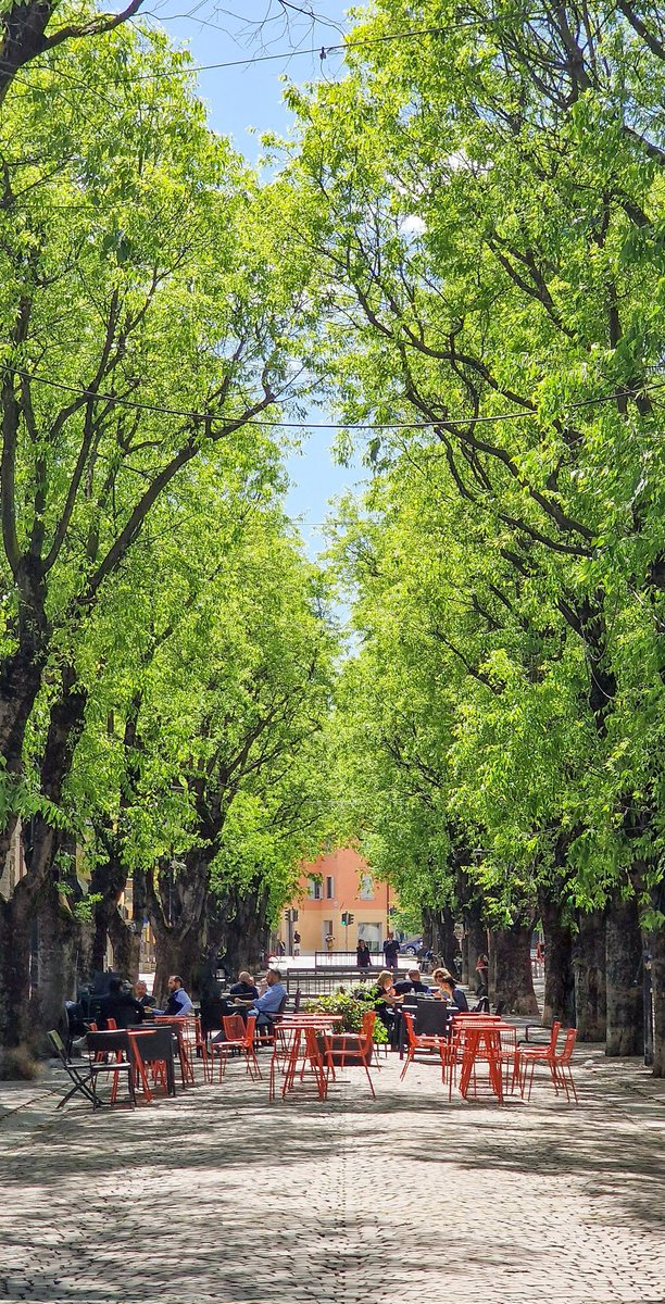 Viale Mazzini, ora di punta

#inemiliaromagna
#emiliaromagna 
#terredicastelli 
#provinciadimodena