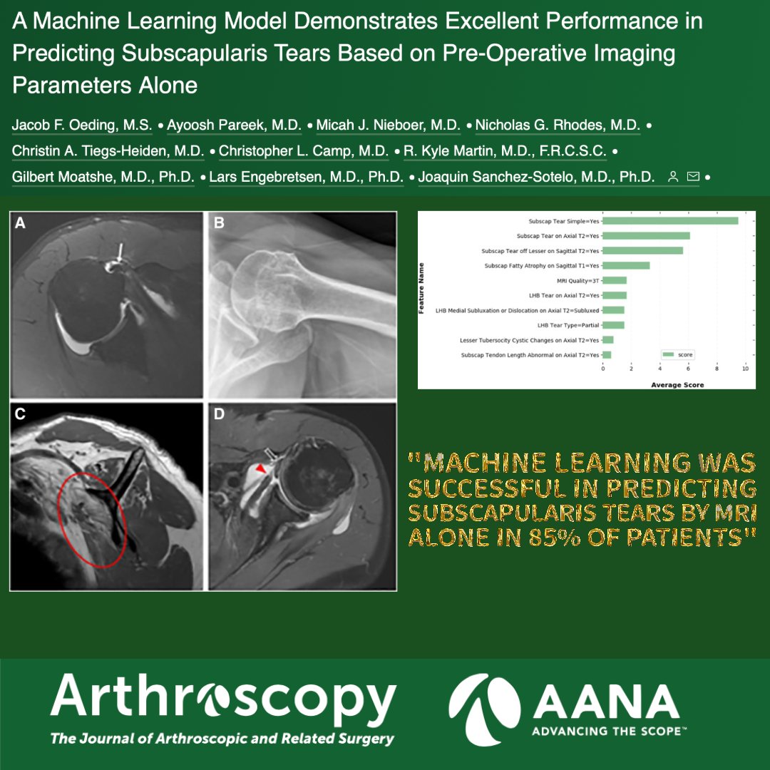 Machine learning demonstrates promise in predicting subscapularis tears based on preoperative imaging. @ChrisCampMD @AyooshPareekMD @JSanchezSotelo
ow.ly/S1uW50RbTWv