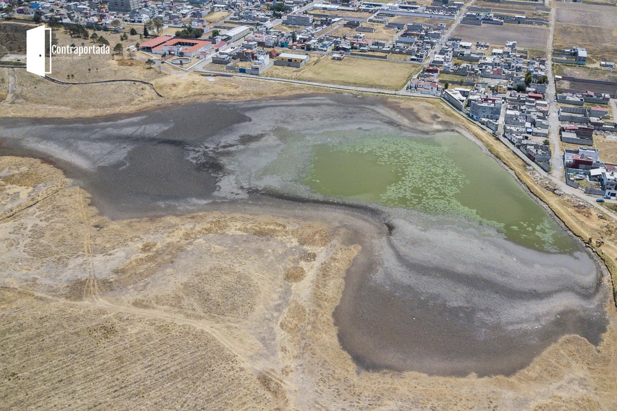 También la laguna del Parque Sierra Morelos agoniza por la sequía 💧 ante esto colectivos han hecho un llamado para realizar una jornada de limpieza de la plaga de lirio el próximo 27 y 28 de abril de 8 a 17 horas.