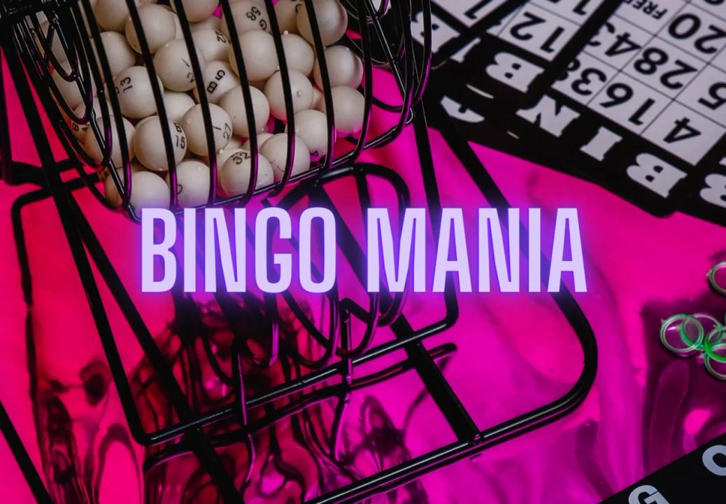 Bingo Mania #19 tinylf.com/jSvwNpFJdnrZI #realloyalfans