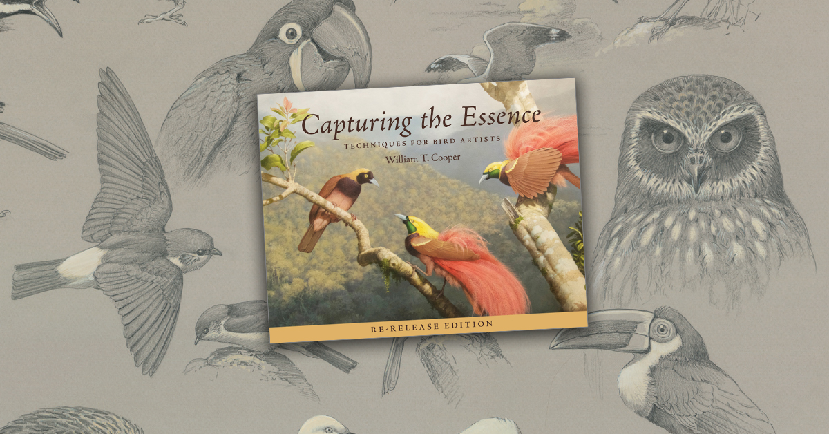 Coming in June: Capturing the Essence is a re-release edition of William T. Cooper's invaluable guide for aspiring wildlife and nature artists, allowing a new generation of artists to learn and benefit from his timeless knowledge and expertise. publish.csiro.au/book/8175/