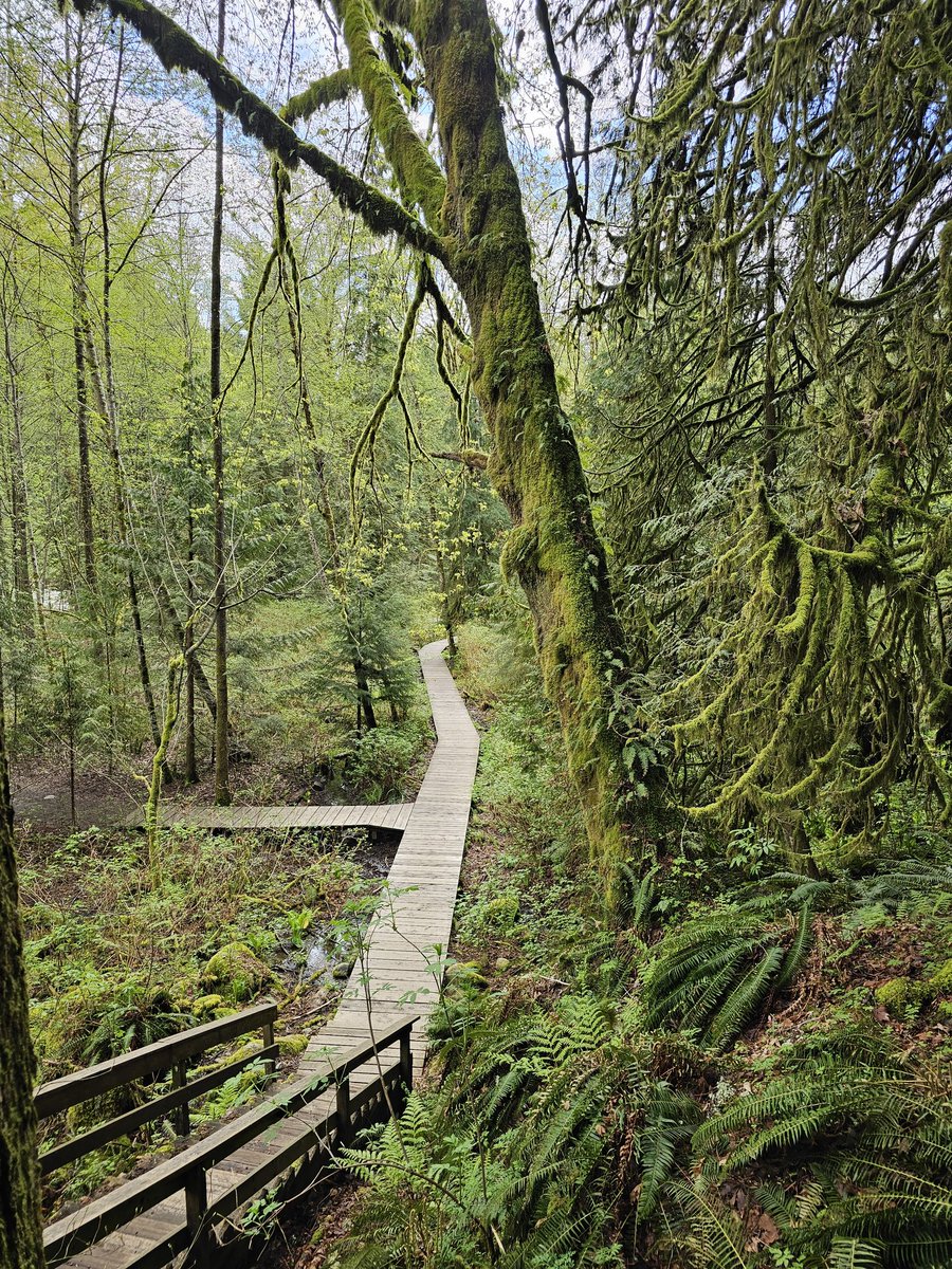 North Vancouver hiking day ❤️