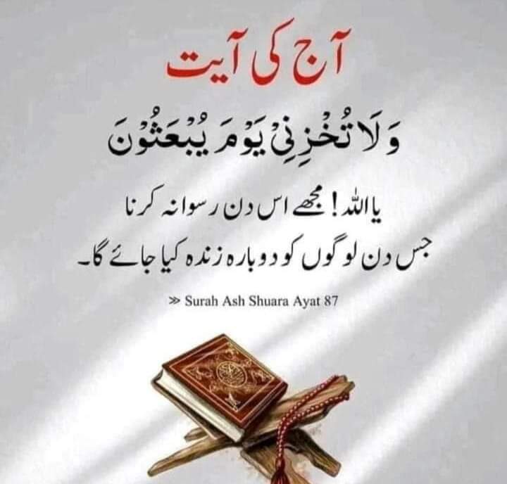 🇵🇰SULTAN RAZA 🇵🇰🇹🇷🇧🇩🇦🇿 tweet media
