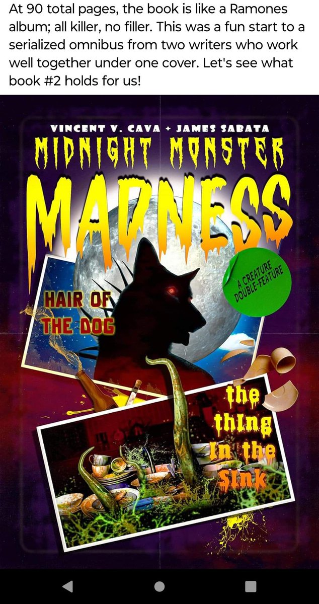 Shout out to @hellbenthorror for an amazing review of the first MIDNIGHT MONSTER MADNESS book by @vincentvenacava and @JamesSabata Grab a copy here: bit.ly/MMMBook1 #horror #books