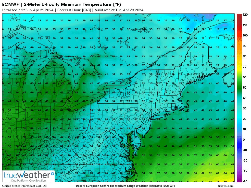 true_weather tweet picture