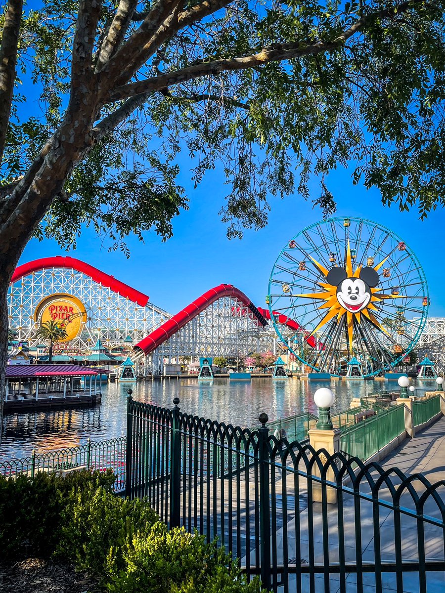 The tourist shot: Paradise Pier and Mickey’s Fun Wheel at Disney’s California Adventure.

#touristythings #disney #pixar #ferriswheel #californiaadventure #themepark #solotravel #justGo