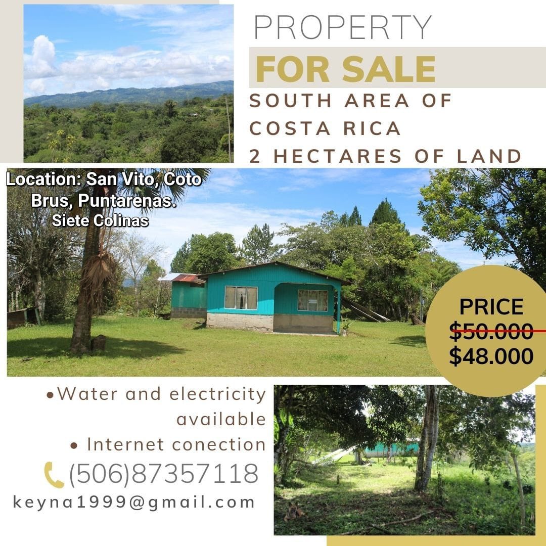 A friend of ours is selling her Uncle’s property, in our area. Siete Colinas is a beautiful area, temperate climate, and a fantastic, quiet farming community. This is a steal for a homesteader. For another $20k you could totally renovate this whole house.