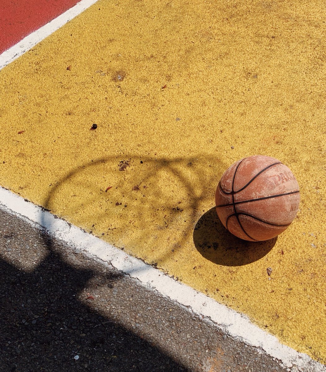 meredith minkow tweet media