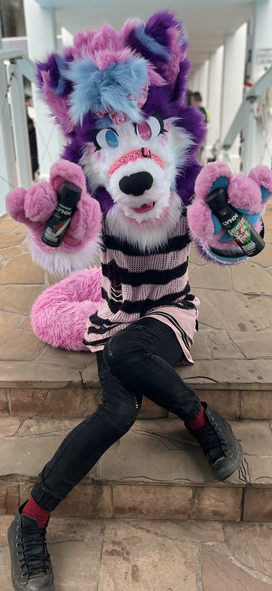 Floofs tweet media