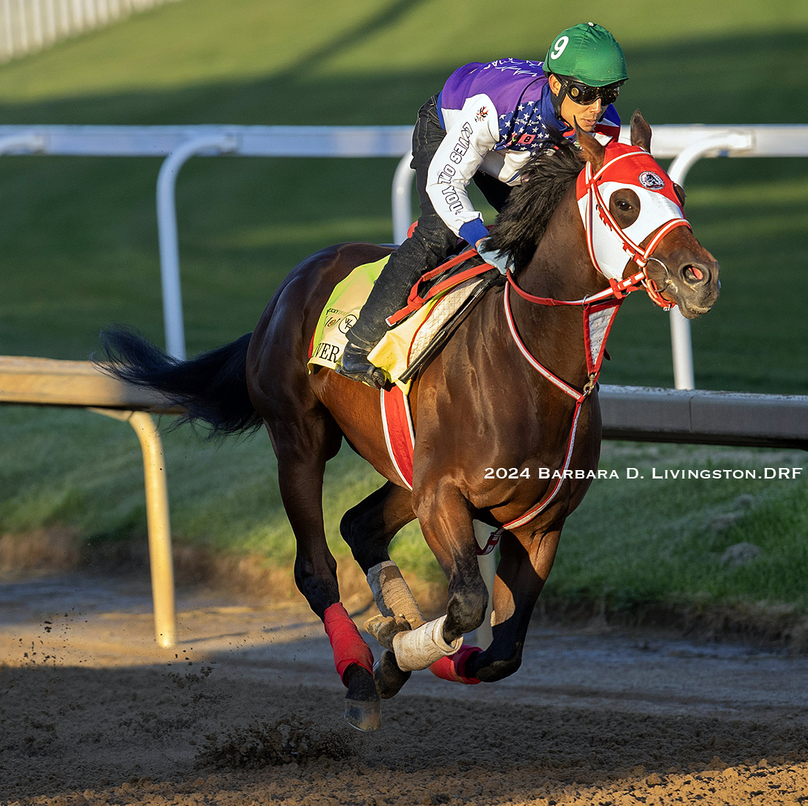 Kentucky Derby contender FOREVER YOUNG (JPN, Real Steel - Forever Darling, by Congrats) most recently won the G2 UAE Derby. The Yoshito Yahagi trainee is undefeated in five starts, including two wins in 2024 (photo, yesterday morning at Churchill Downs).