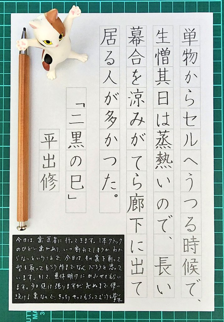 #朝活書写 No.1655 #朝活書写_1655 お題、ありがとうございます。 しとしとと春雨が降っています☔️ 午前中歯医者に行き、その足で、午後母の面会に行ってこようと思っています🚙 今日も佳き日でありますように✨