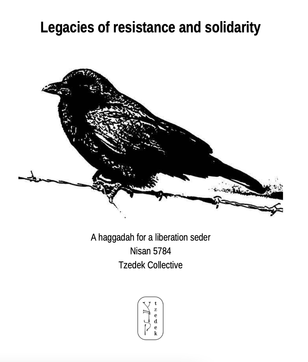 @tzedekcollectiv The beautiful Haggadah, called 'legacies of resistance & solidarity', reflects millenia of Jewish dissent. The Zionist project is a blip in Jewish history; we always remember our struggle as and solidarity with the oppressed. L'shana haba'a in a Free Palestine, Amen!