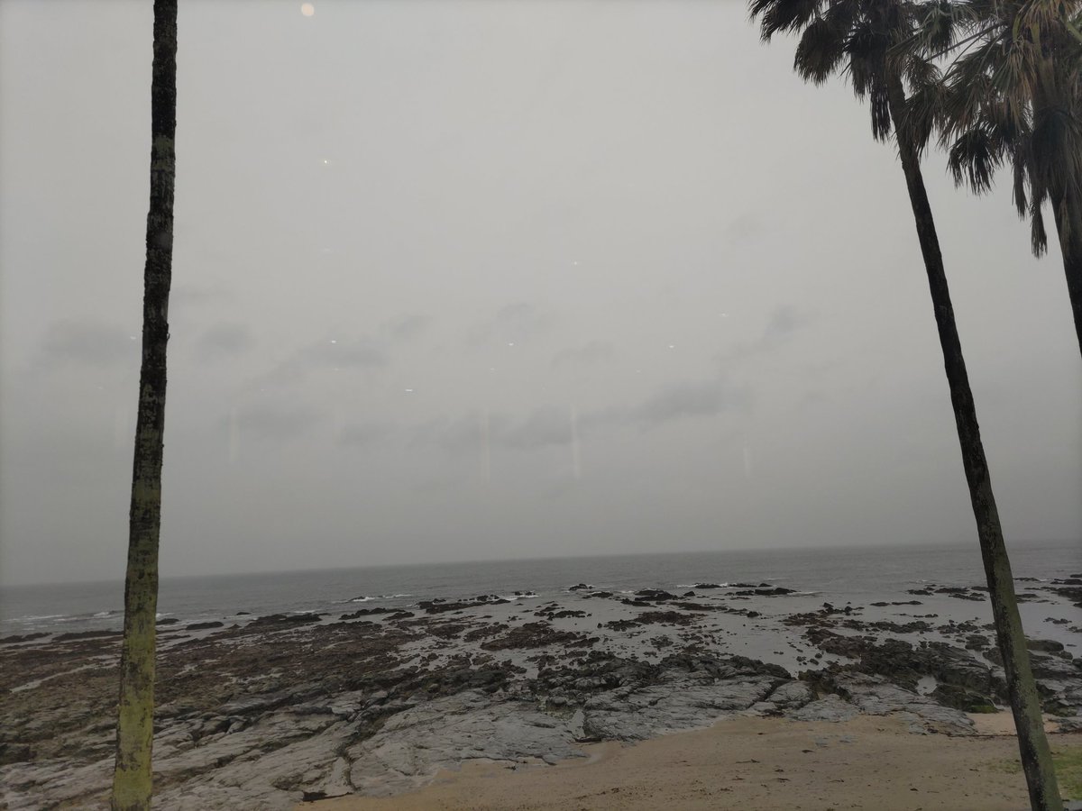 おはようございます 小雨で天気が悪い朝 ツバメが一生懸命飛んでるなぁ