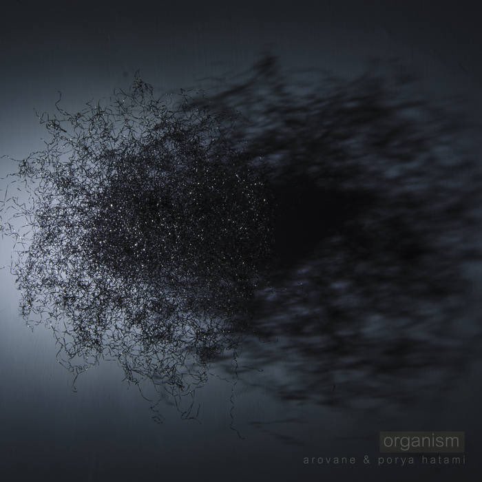 Organism
Arovane & Porya Hitami
Just discovered this incredible dark ambient drone album, has a cosmic sound, pitch black journey into deep space