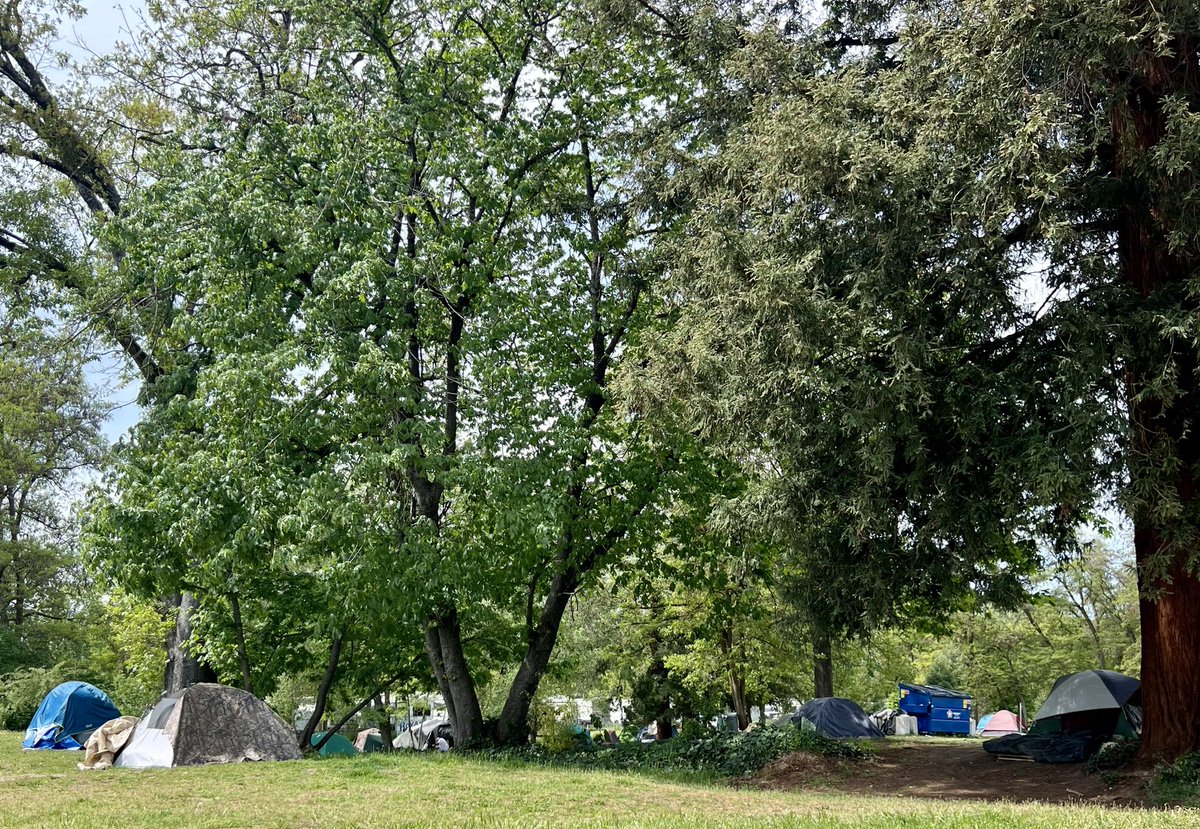 GRANTS PASS, OR: Public parks here are lined with homeless tents. Tomorrow, the Supreme Court considers whether enforcement of “anti-camping” ordinances is “cruel & unusual” punishment-a case w broad implications nationwide. @NewsNation coverage in OR + @KellieMeyerNews in DC.