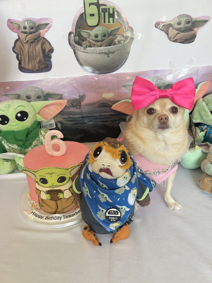 Happy Birthday to my Best Friend Tinkerbell #tinkerbell6thbirthdayparty #porgsofx #porgsoftwitter #tatertotsquad